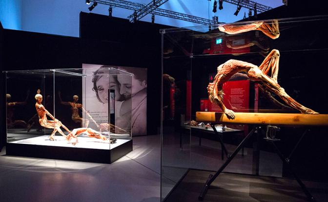 С выставкой органов в Москве разберется Бастрыкин