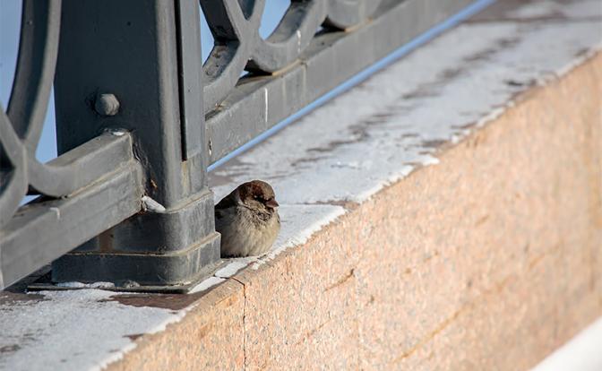 Погода в Иркутской области собьется с весеннего ритма