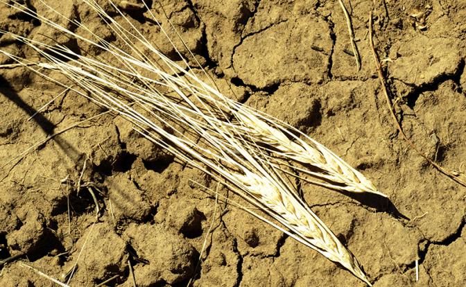 Озвучена новая угроза, стоящая перед Россией