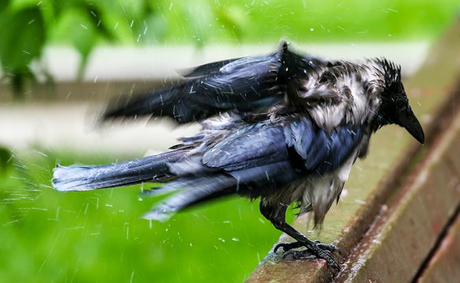 Прогноз погоды: синоптики предупредили россиян о непредсказуемом мае