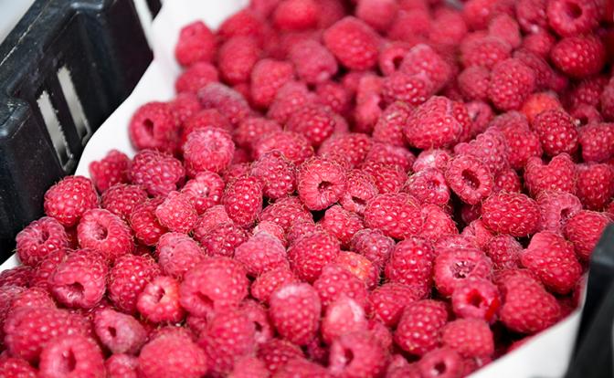 Названы опасности употребления малины