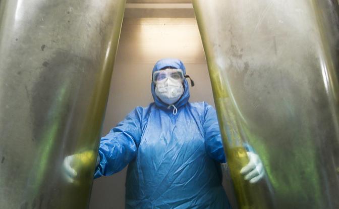 Названо свойство коронавируса, вызвавшее новый всплеск COVID-19