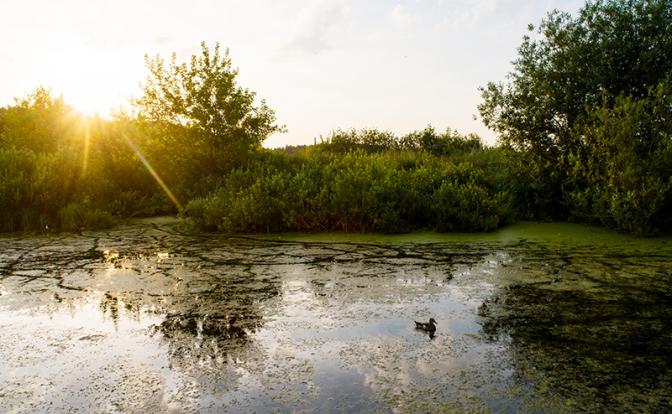 Погода предложит необычный сценарий лета. Посмотрите прогноз погоды на это лето