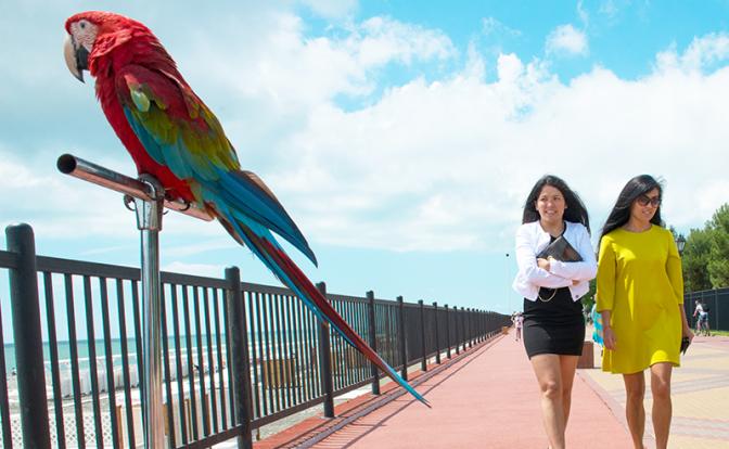 Названо популярное летнее мошенничество в России