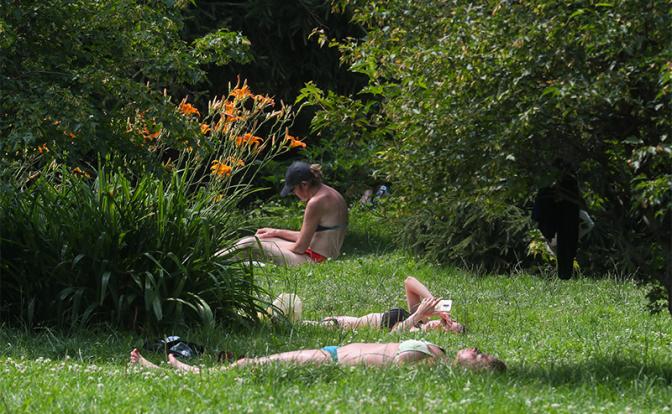 В Москве и области объявлен оранжевый уровень погодной опасности