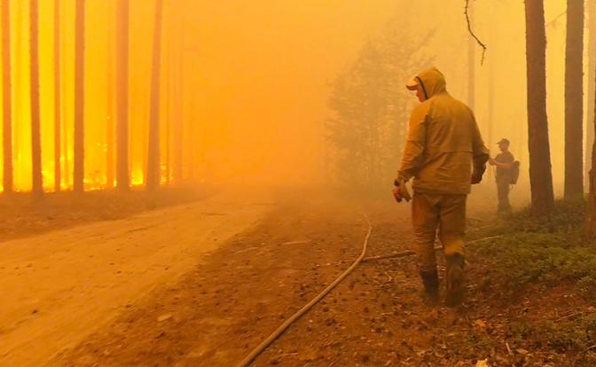 На фото: лесные пожары в Карелии