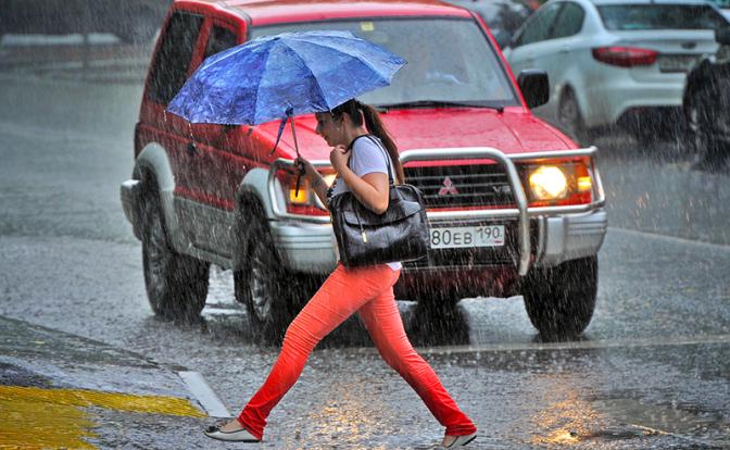 Погода предложит тропический сценарий: ливни, влажность, жару