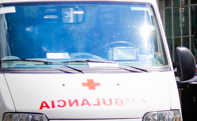 Стая из шести питбулей загрызла многодетную женщину