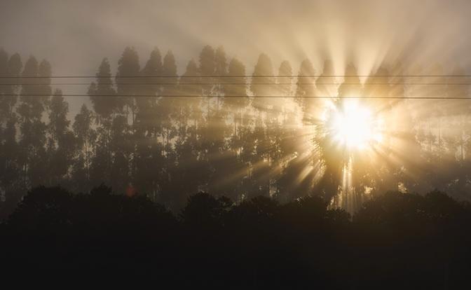 Прогноз по Красноярскому краю: сильная мгла