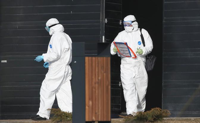 В России обновлён максимум по числу смертей от коронавируса