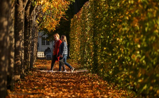 Гисметео: тепло иссякнет - синоптики о погоде в Санкт-Петербурге