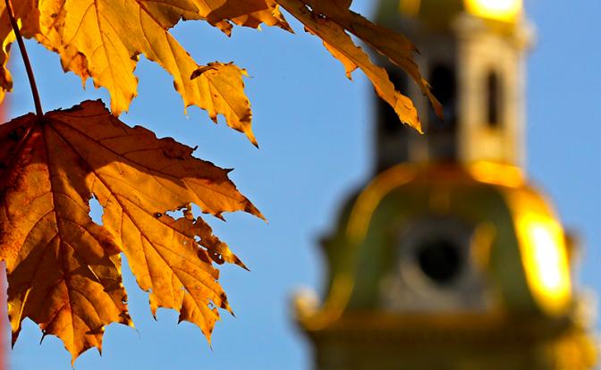 Санкт-Петербург затопит теплом - прогноз погоды на выходные