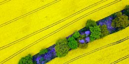 Исторический рекорд, паника властей: Голубое топливо щекочет нервы Европе и Туманному Альбиону