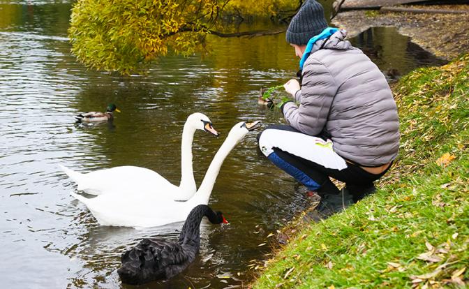 Прогноз Гисметео: в Москве хмурая хандра - прогноз на эти выходные