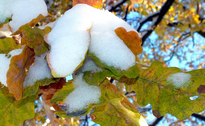Гисметео, прогноз: предстоит пережить холодный набег - синоптики о зимней погоде в октябре