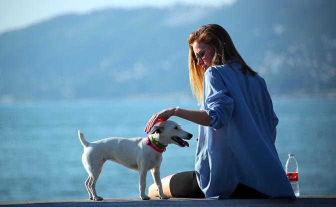 Гисметео: после сочинского наводнения погода запахнет летом, синоптики о потеплении в Сочи