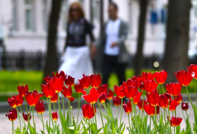 Какой будет весна 2022: скупое тепло и ливни. Прогноз погоды на следующую весну