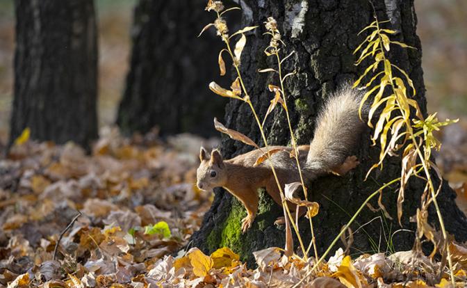 На этих выходных Москва выйдет из зоны дождей. Прогноз погоды на выходные