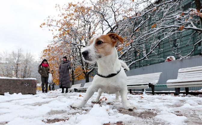 Гисметео, прогноз: резко зима - синоптики о погоде на неделю