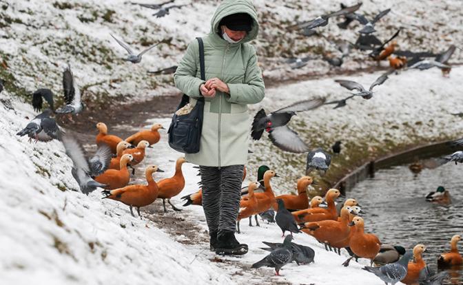 Погода на выходные: в Москве это будет неприятно