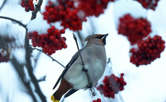 Весна 2022, какая она: посмотрите, каким будет начало весны в следующем году