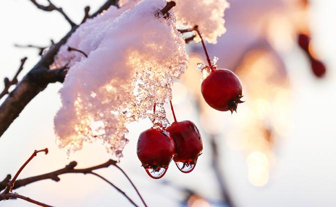 Поток снегопадов с оттепелью, это будет непростая предпраздничная неделя