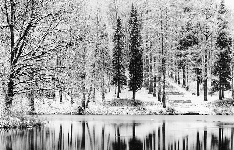 На фото: первый снегопад Середниково 2021. Серебряно желатиновый отпечаток