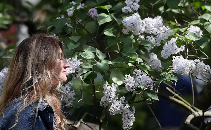 Аллергиков предупредили о тяжёлой весне