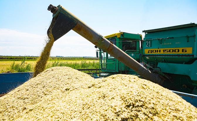 С урожаем зерна проблемы, экспорт придется уменьшить