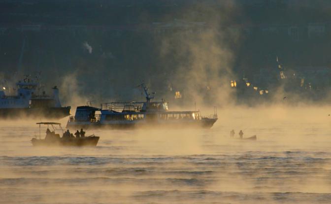 На фото: корабли в Севастопольской бухте