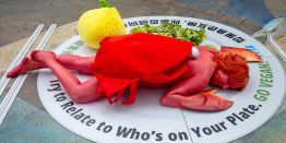 Ким Чен Ын показал дочь, ель из ловушек для лобстеров, Aurus за 33 млн, подготовка мобилизованных, самолет на ЛЭПе