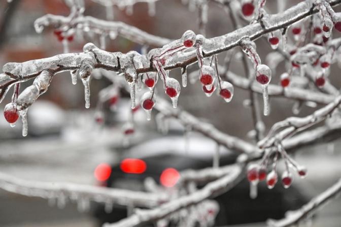 Гидрометцентр предупредил москвичей о снеге и гололёде в воскресенье