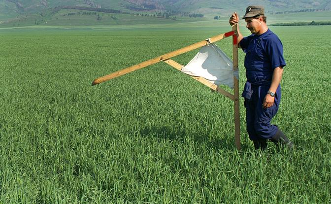 Путин рекомендовал регионам бесплатно выдавать земельные участки героям спецоперации