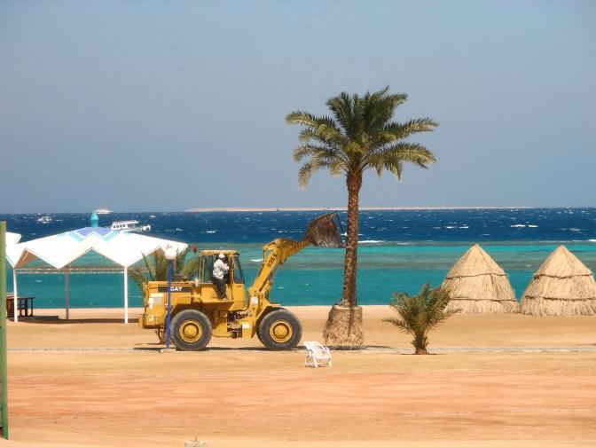 Погибший при нападении акулы в Хургаде россиянин не был туристом