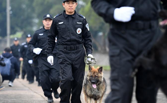 В Китае сократилось количество преступлений, связанных с незаконным оборотом наркотиков