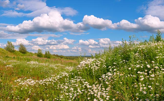 Вильфанд: июль будет жарким