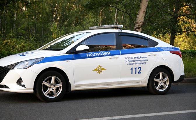 В Ленинградской области собутыльники закопали приятеля в лесу