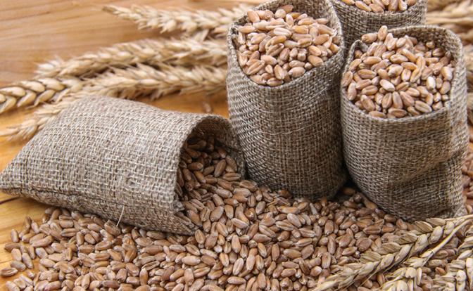 СМИ: Путин не захотел говорить с Эрдоганом про зерновую сделку