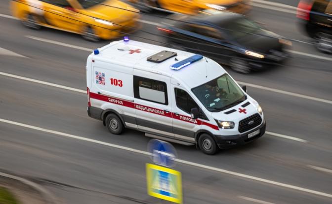 Маленький мальчик попал в реанимацию после укуса змеи в Балашихе