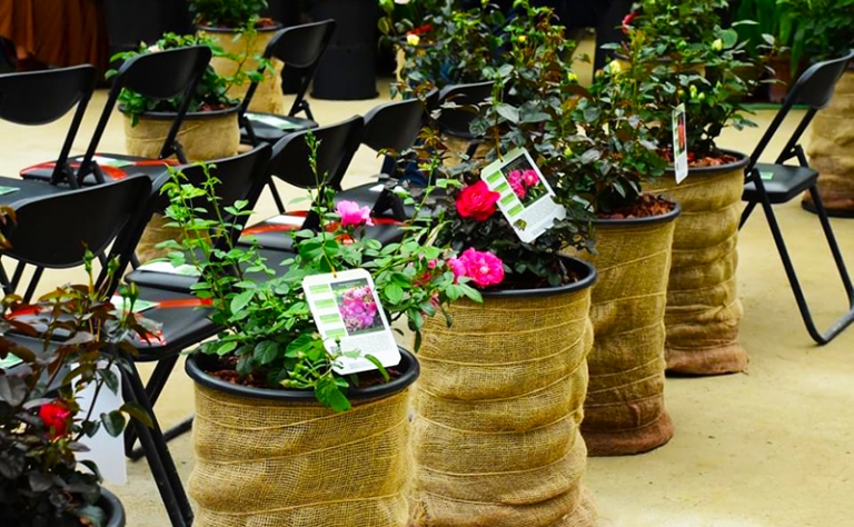 пресс-служба музея