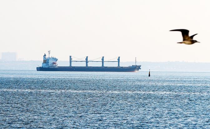 Источник: альтернатив черноморскому зерновому коридору нет