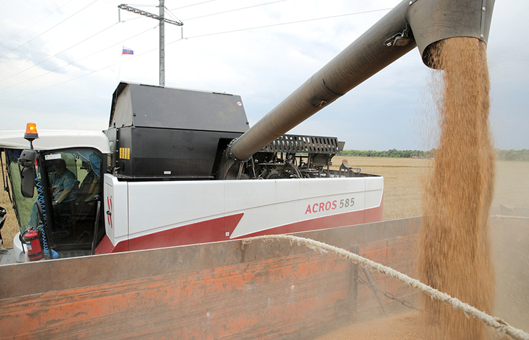 официальный портал Правительства Ростовской области