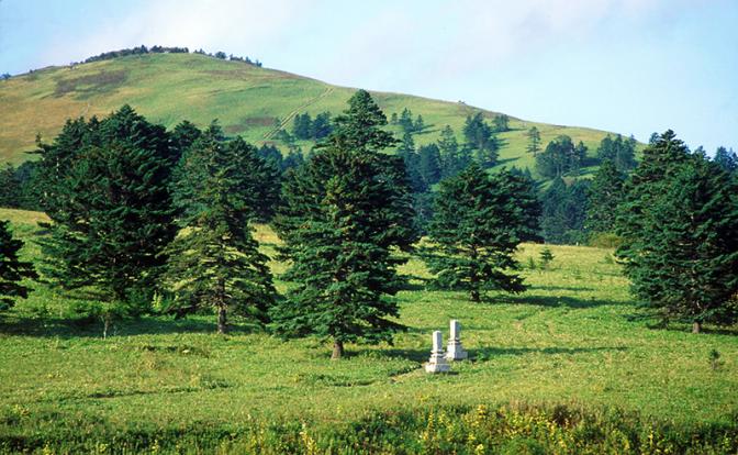 На фото: японское кладбище на одном из Курильских островов