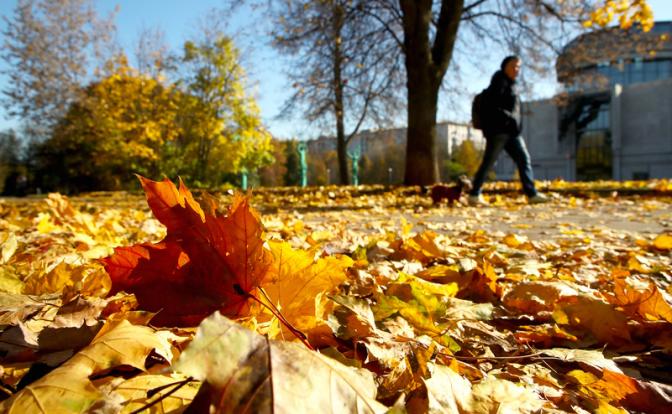 Прогноз погоды в Москве: Октябрь придет с резким похолоданием