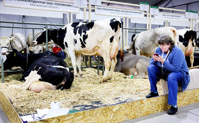 Минэкономразвития назвало сферы с самым большим снижением потребности в кадрах