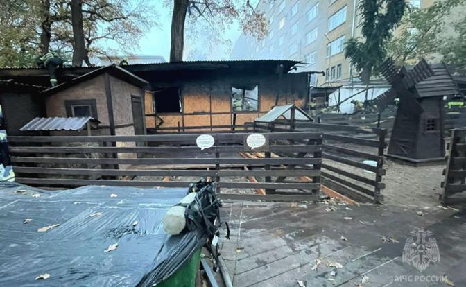 Более 40 экзотических животных погибли на пожаре в зоопарке Саратова