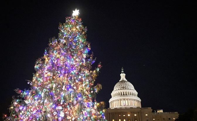 Падение рождественской елки в Вашингтоне сравнили с концом правления Байдена