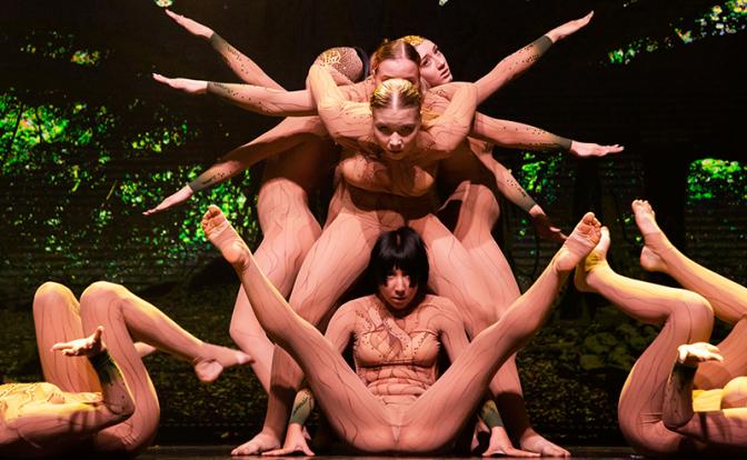 Победители известных телепроектов представят пластический спектакль «П — значит принятие»