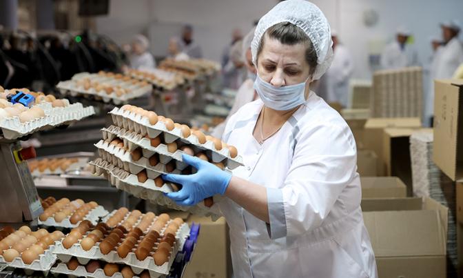 Эксперт: К Новому году Россия останется без яиц
