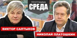 Николай Платошкин - Виктор Салтыков. Я не боюсь министра культуры. Я боюсь культуры министра